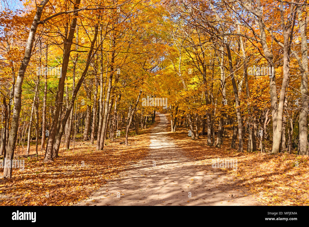 Colorful Rural Road in the Fall in Great River Bluffs State Park in ...