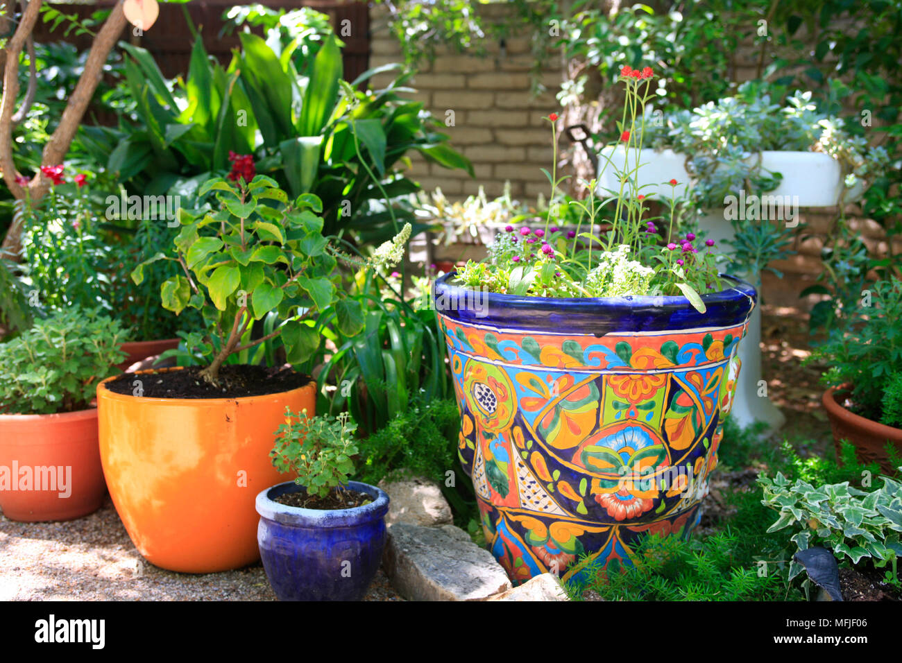 Beautiful flowerpots and flower displays in a Bario neighborhood garden