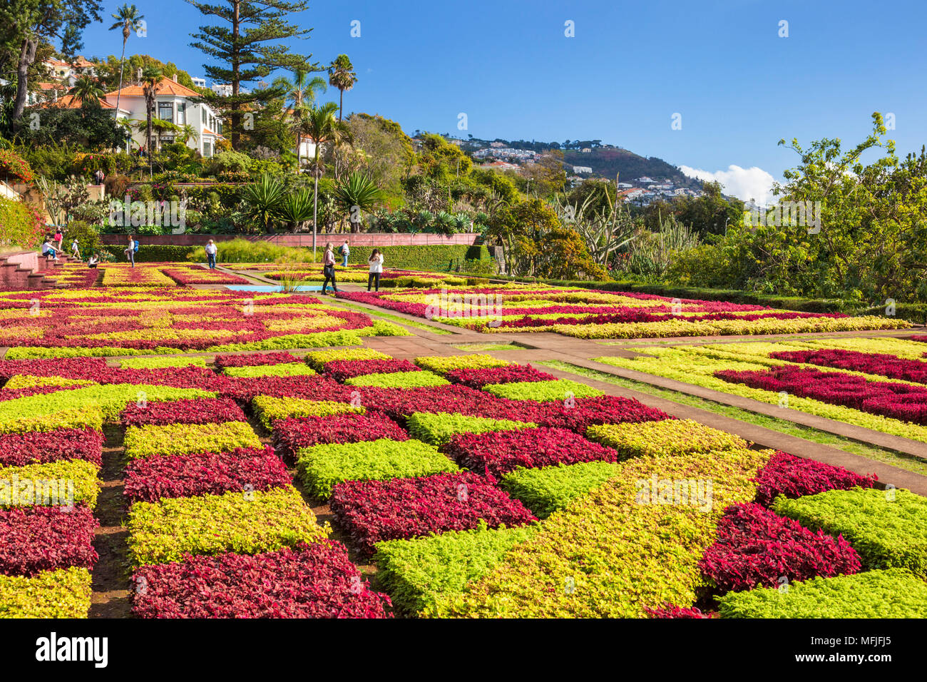 Formal garden in Madeira Botanical gardens (Jardim Botanico), above the capital city of Funchal, Madeira, Portugal, Atlantic, Europe Stock Photo