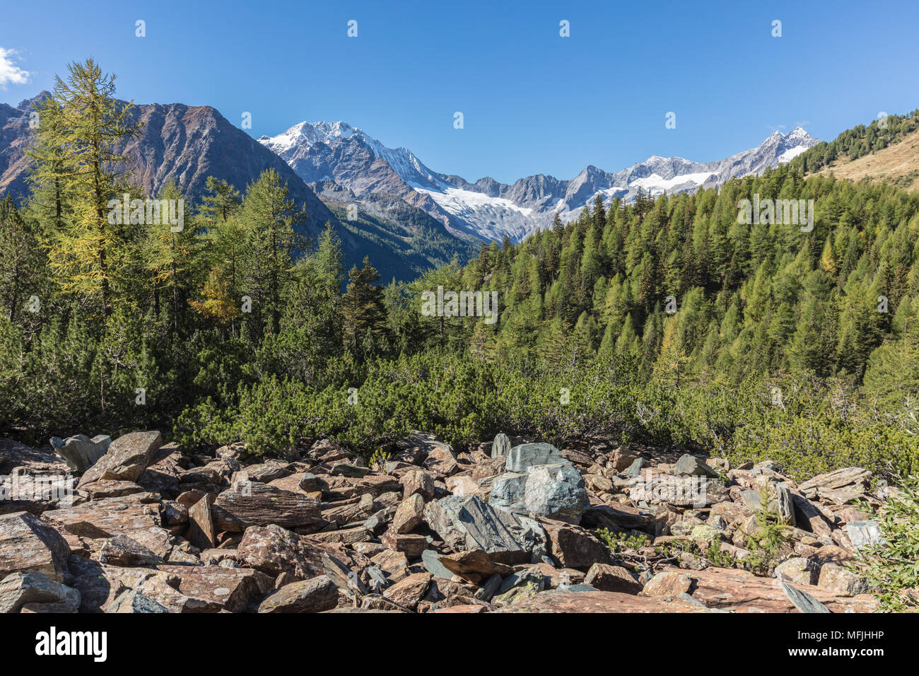 Monte Disgrazia seen from Valle di Chiareggio, Malenco Valley, province of Sondrio, Valtellina, Lombardy, Italy, Europe Stock Photo