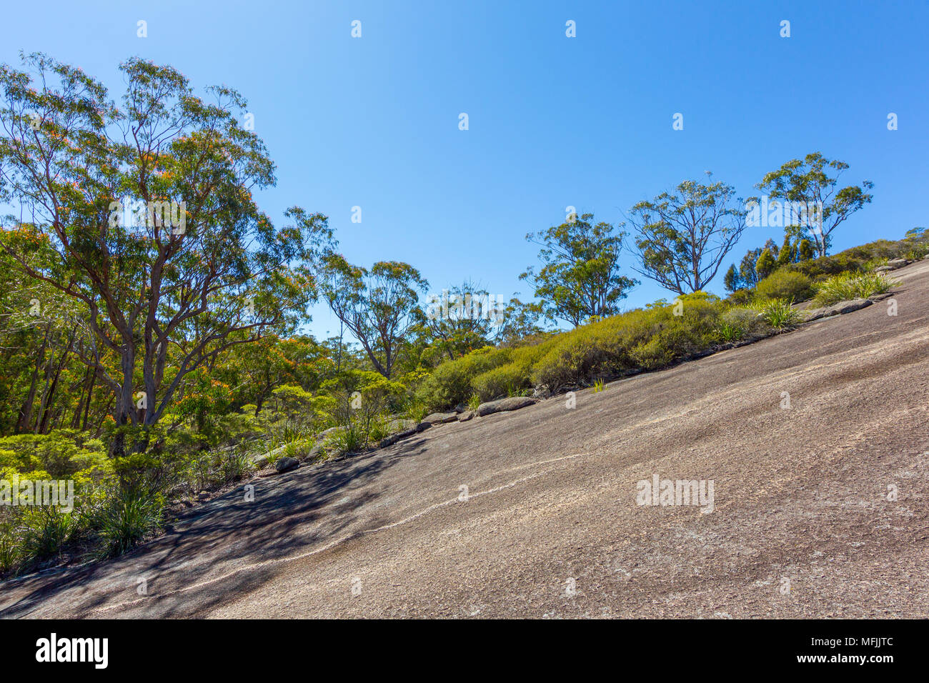 Bald Rock National Park Is In Northern Nsw North Of Tenterfield And Near The Queensland Border The Border Passes Over The Rock On The Western Side Stock Photo Alamy