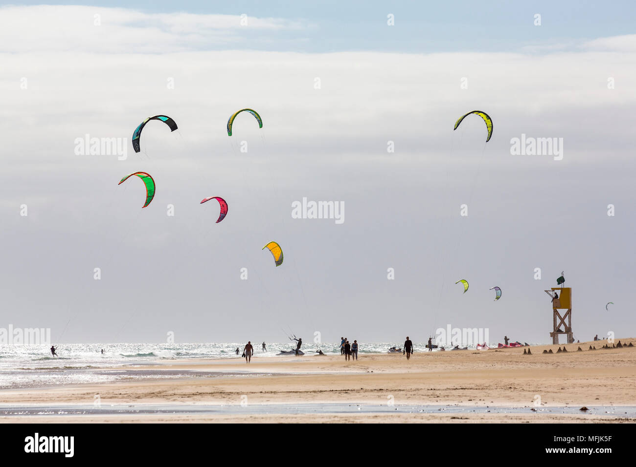 Many people kiteboarding off the Playa de La Barca, Costa Calma, on the volcanic island of Fuerteventura, Canary Islands, Spain, Atlantic, Europe Stock Photo