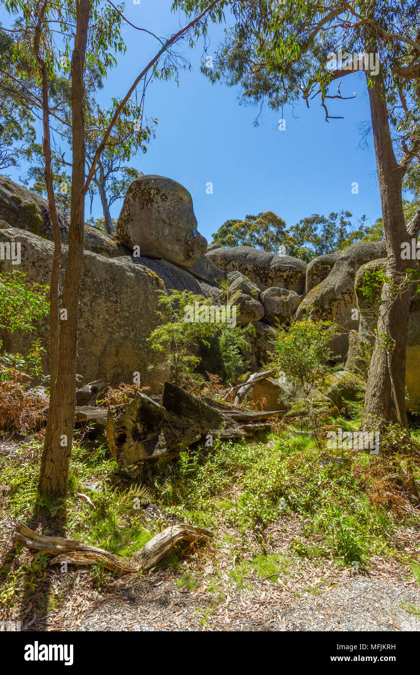 Bald Rock National Park is a national park in northern New South Wales