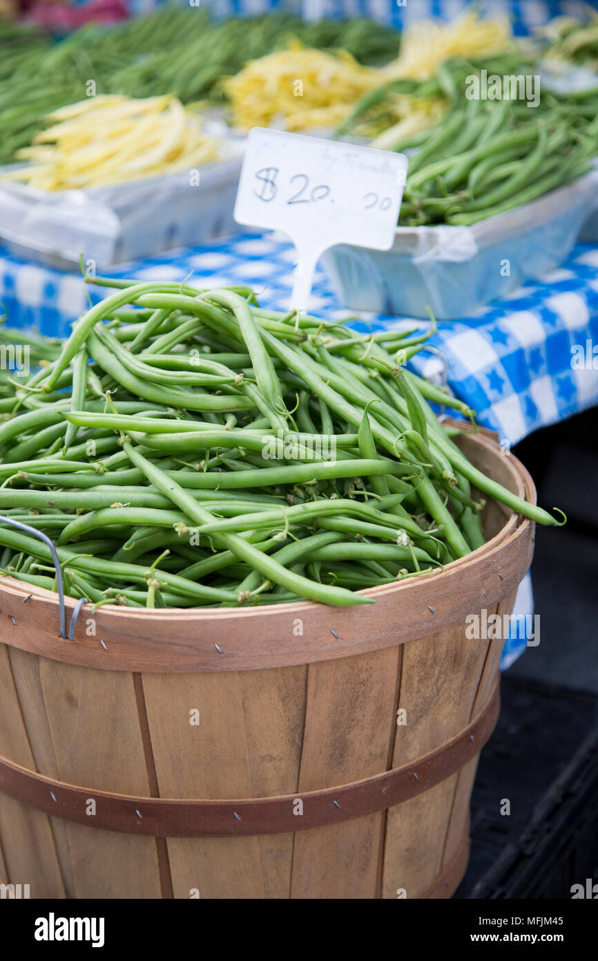 How Much Is A Bushel Of Green Beans Cost - canvas-zone How Much Is A Bushel Of Green Beans