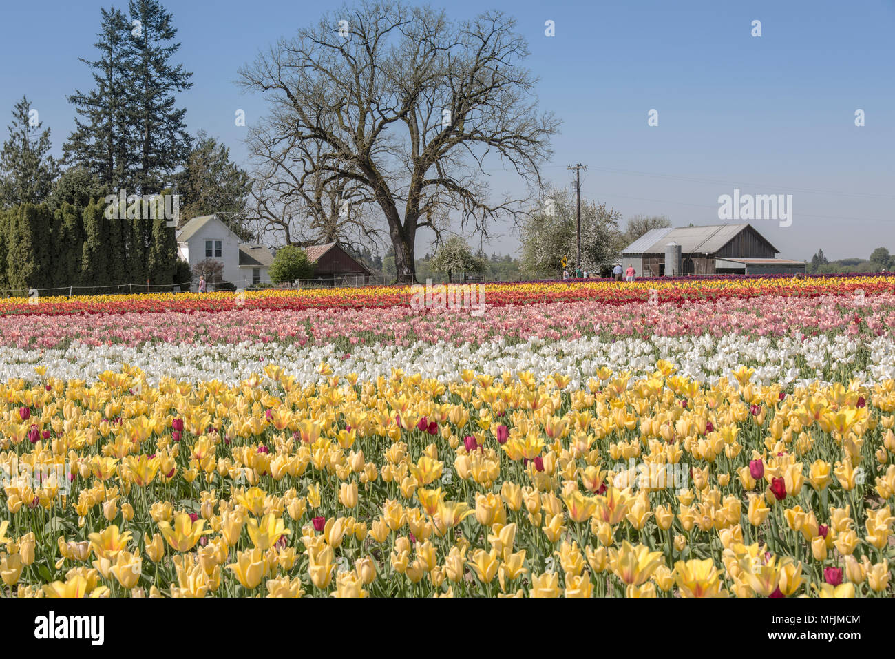 Woodburn house hires stock photography and images Alamy
