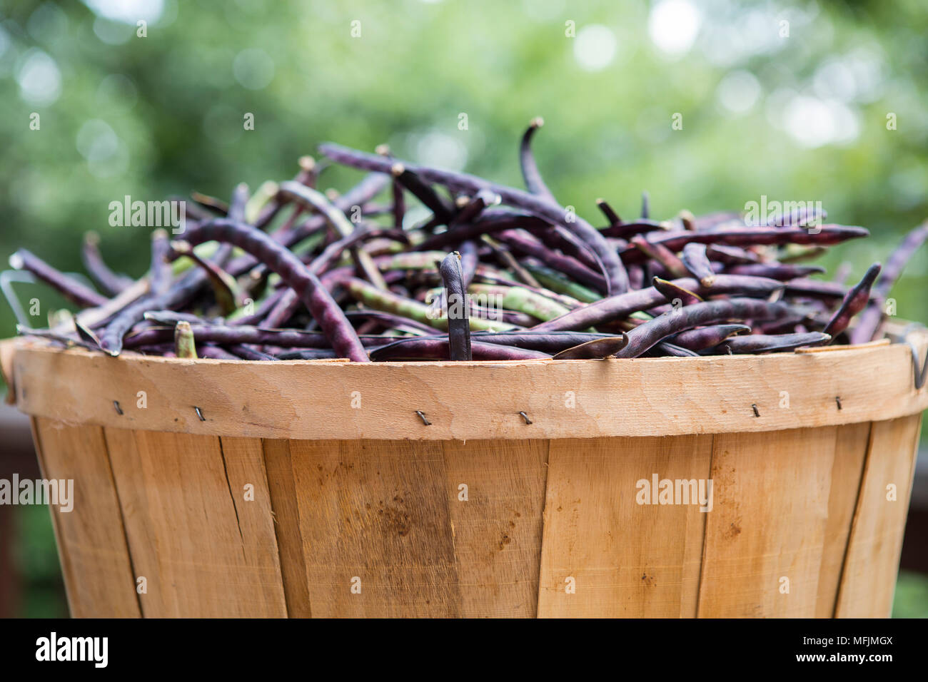 Bushel Basket High Resolution Stock Photography and Images Alamy