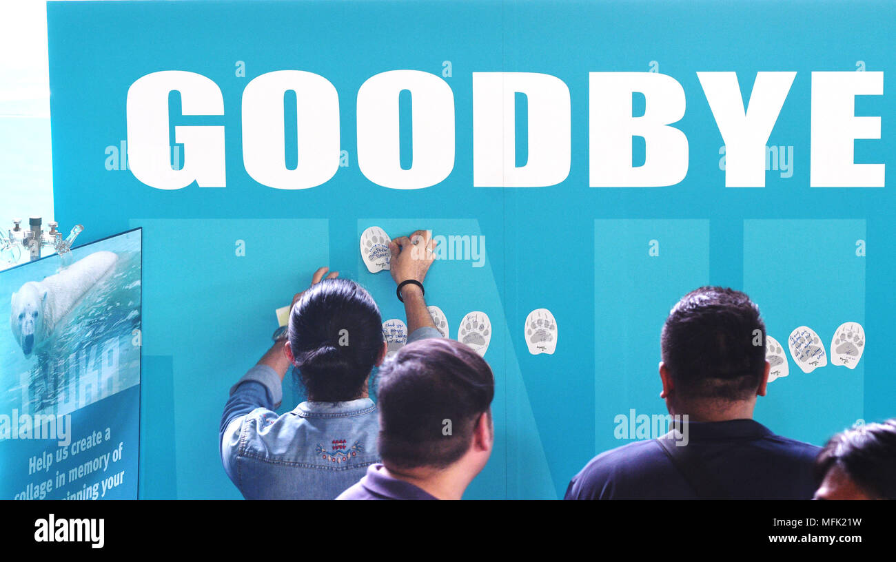 Singapore 26th Apr 18 Staff Members Of The Singapore Zoo Paste Notes On A Memorial Board After The Memorial Service For Polar Bear Inuka At The Zoo April 26 18 Singapore On