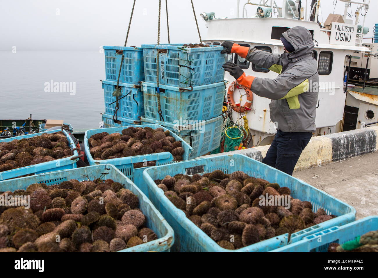 sakhalin region russia april 25 2018 a worker helps to unload