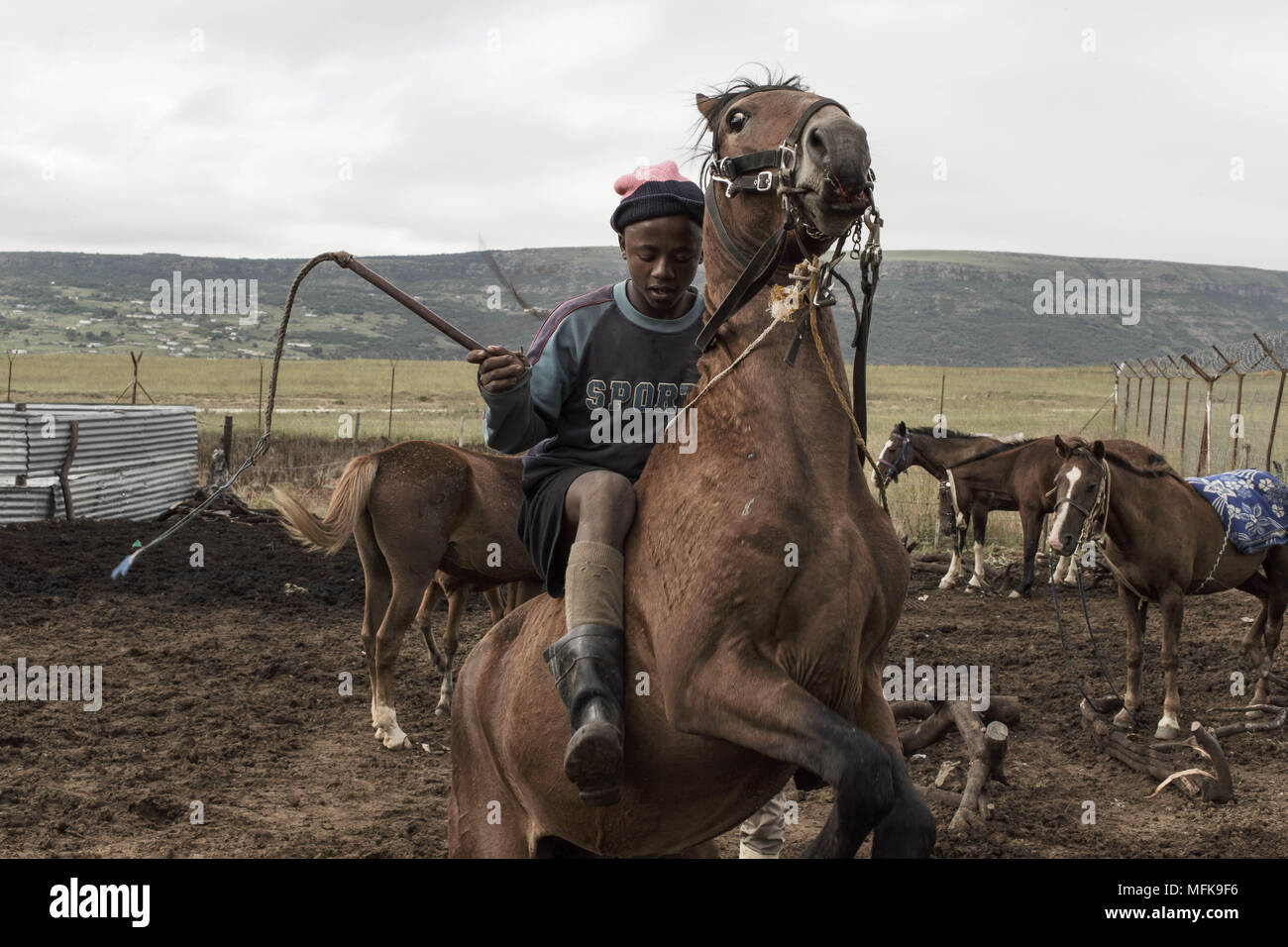 African Cowboys 35 Jpg High Resolution Stock Photography And Images Alamy