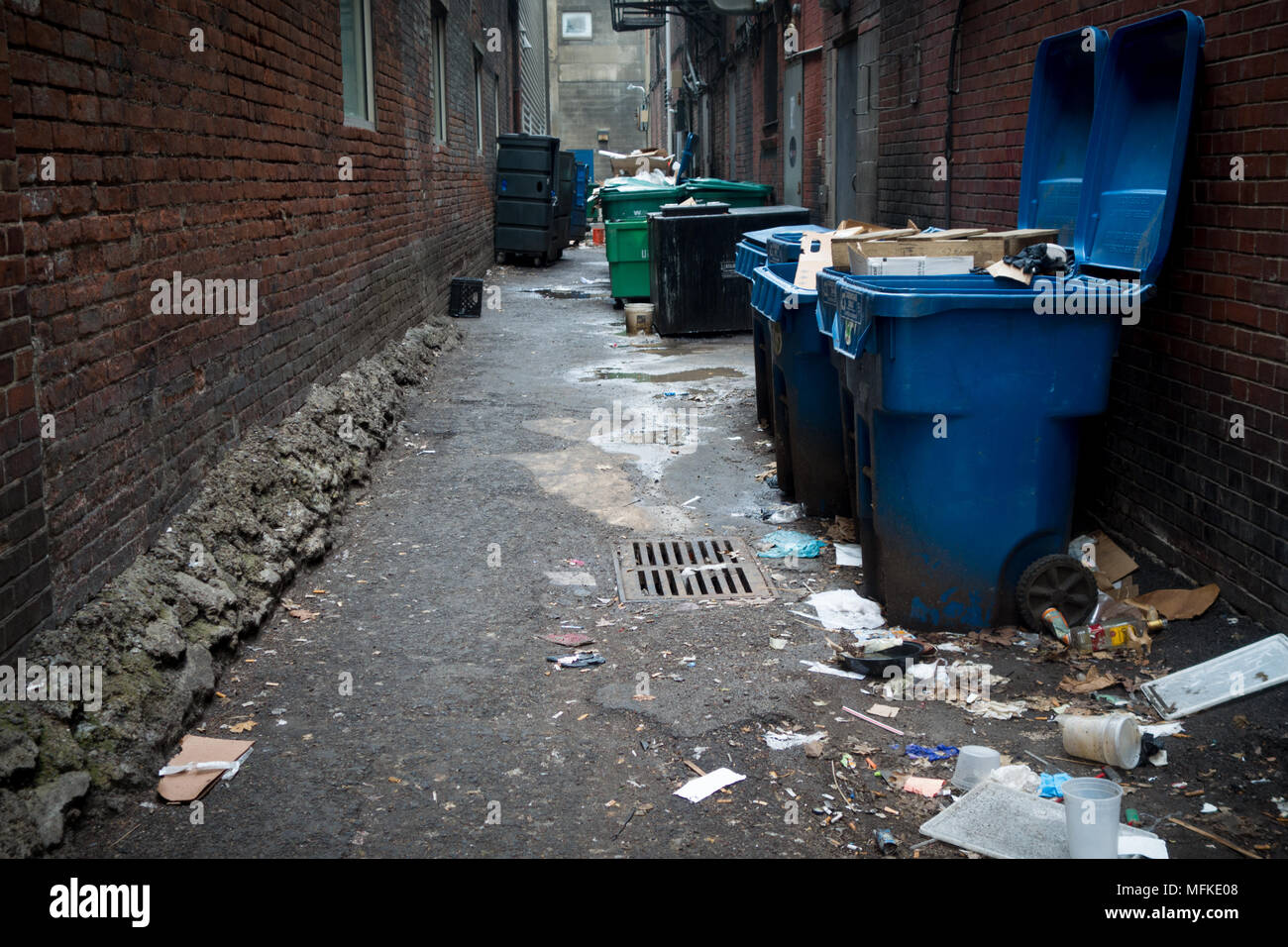 Large, overflowing garbage cans in a back alley in Pittsburgh