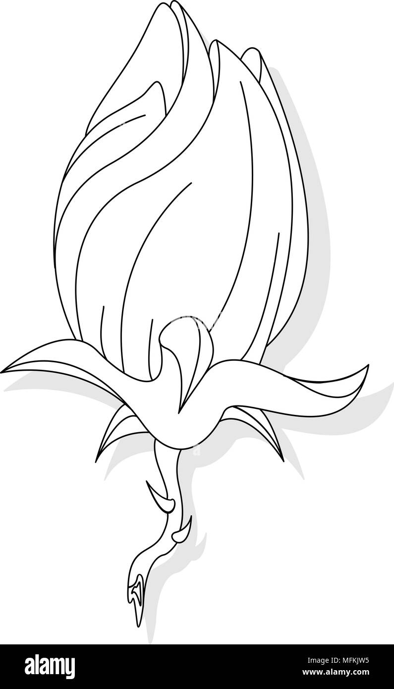 Fantasy flower illustration set on white isolated Stock Vector Image ...