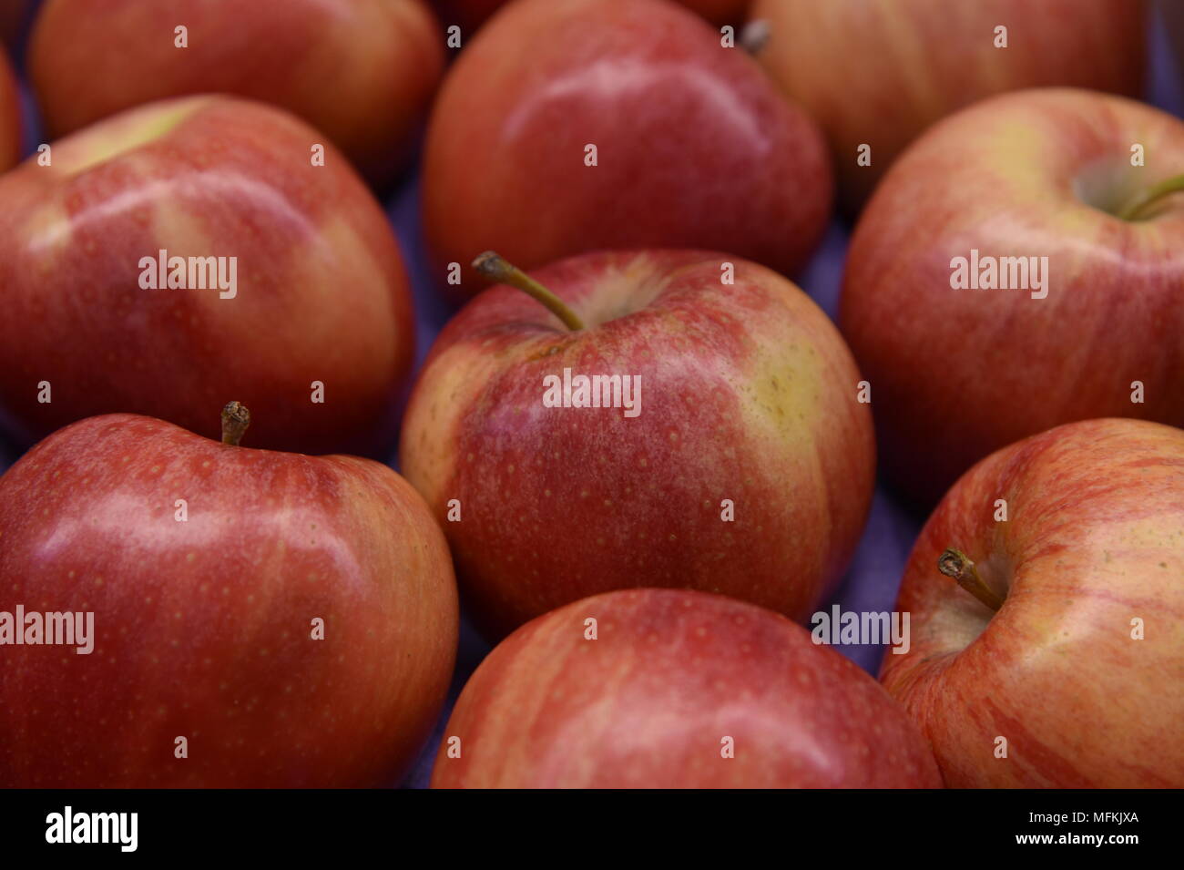 Red gala apples Stock Photo Alamy