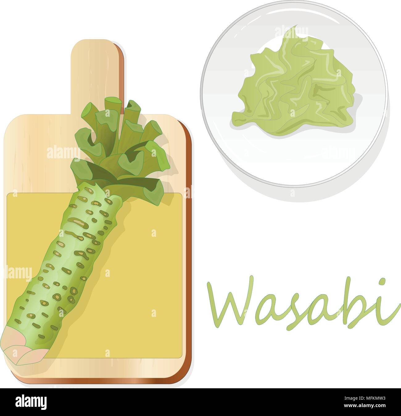 wasabi Japanese horseradish illustration on white bacground Stock