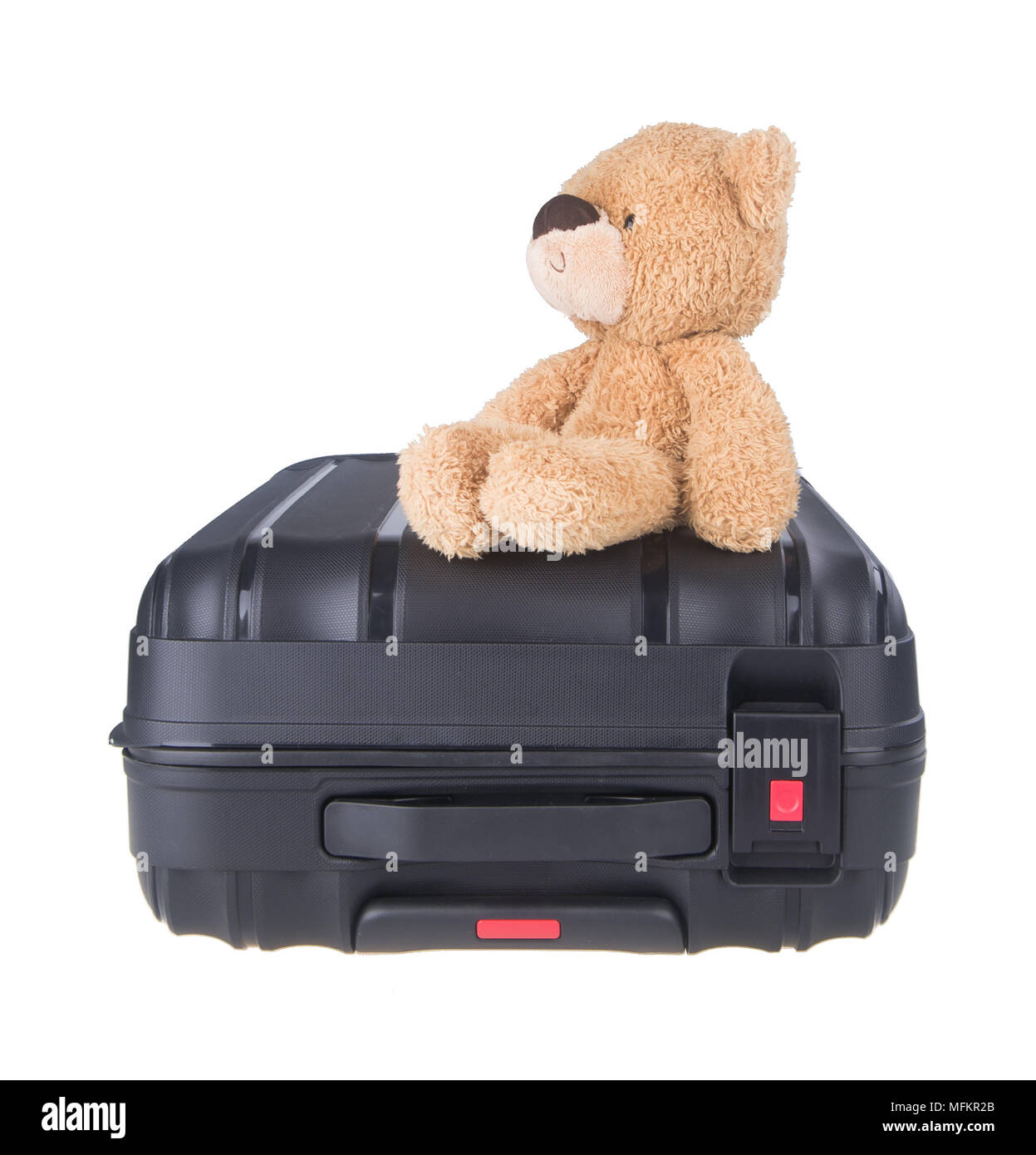 teddy bear luggage