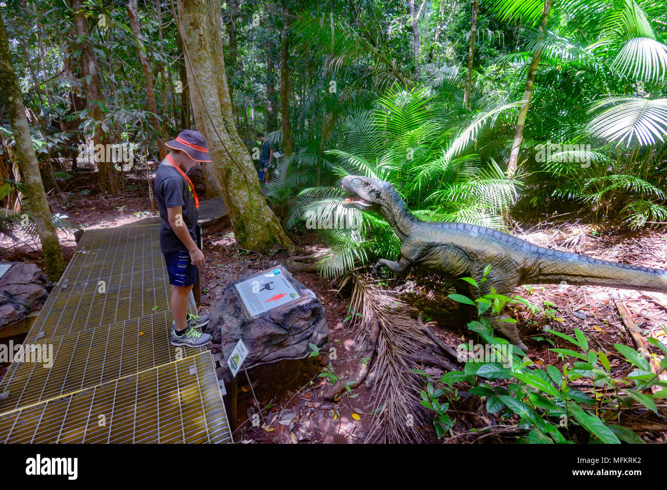 Young boy looking at a dinosaur in the Jurassic Forest, Daintree Discovery Centre, Daintree National Park, Far North Queensland, FNQ Stock Photo