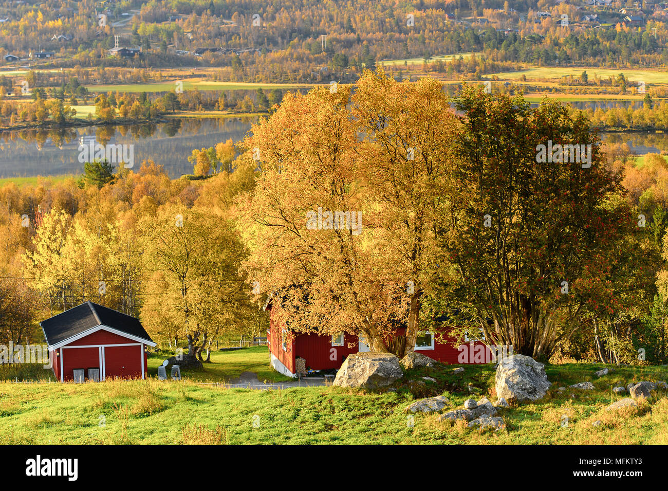 Nature of Geilo in Hardangervidda Plateau, Norway, Europe Stock Photo