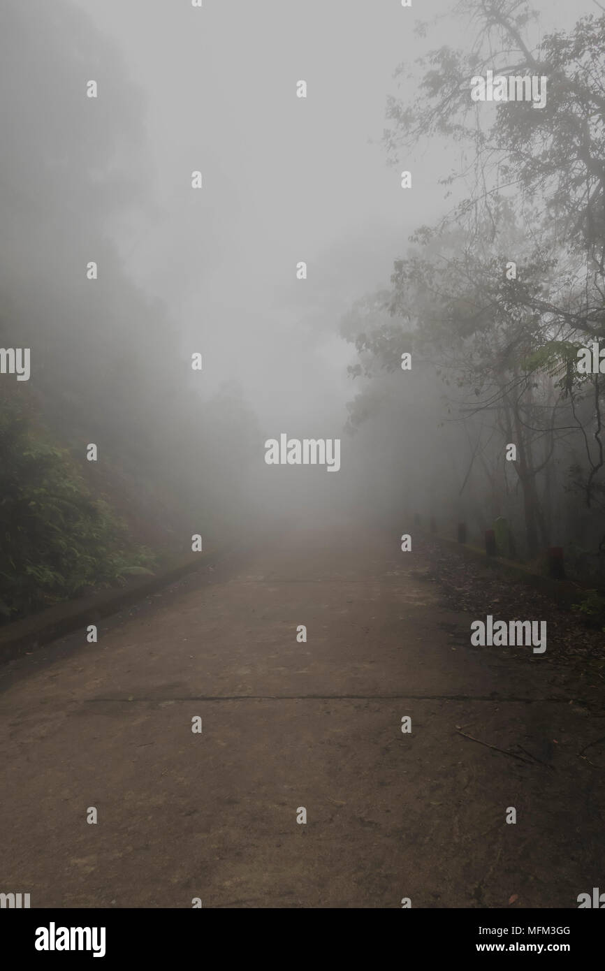 Misty morning ground road hi-res stock photography and images - Alamy