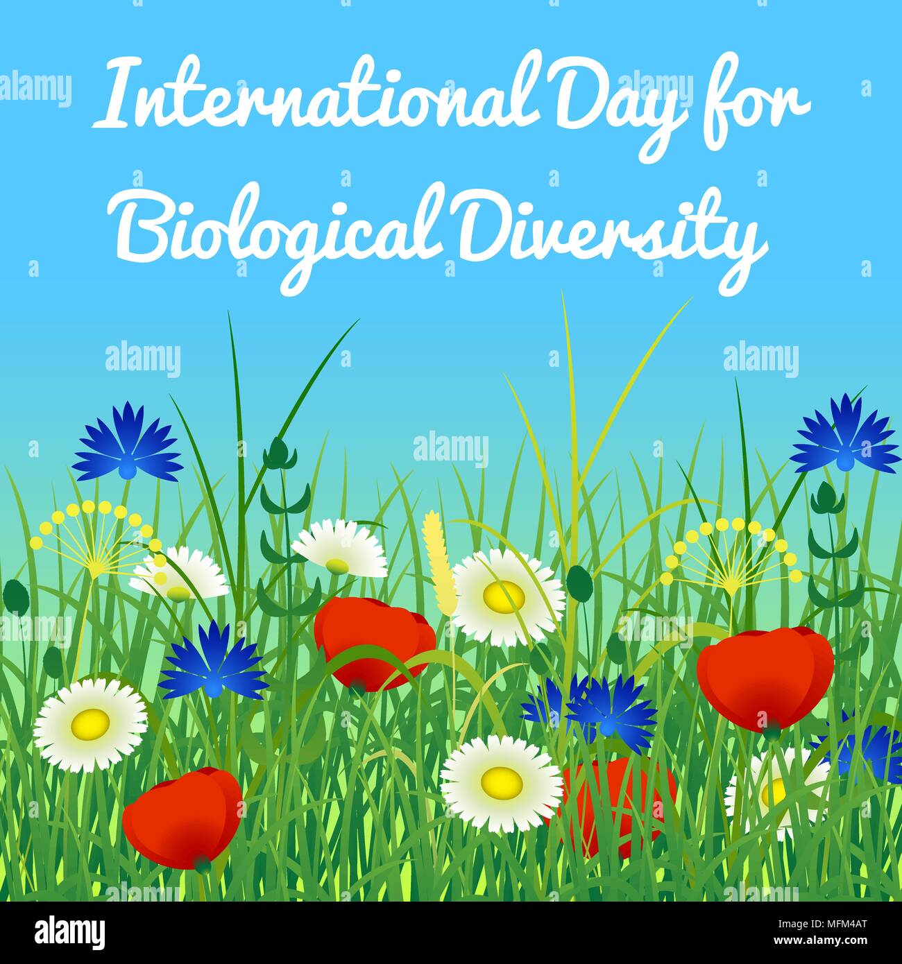 International Day for Biological Diversity. The concept of ecological holiday. Sky and wild