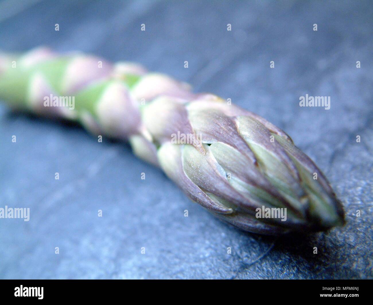 Closeup photographs of asparagus spears showing their delicate