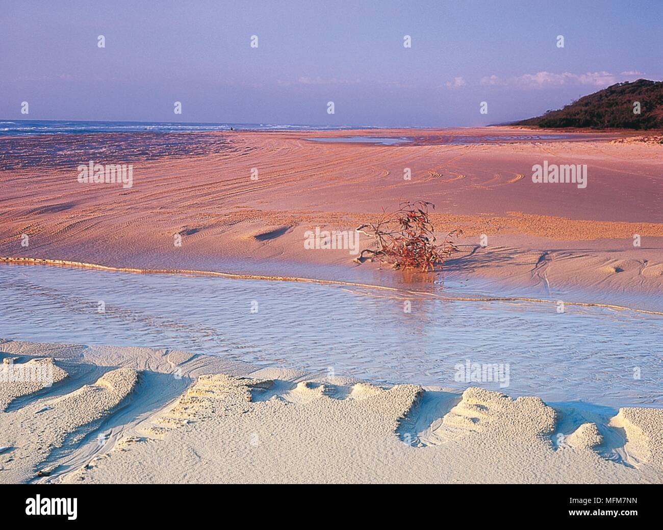 Beach washout, Fraser Island, Queensland, Australia.  Morning sunlight strikes the tyre tracks of 4WD vehicles where they've crossed a washout on the Stock Photo