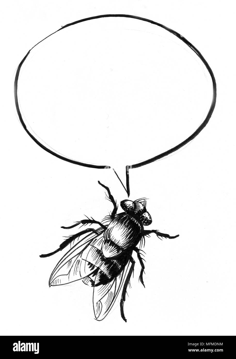 спикер вектор. Fly spark. Taylor swift speak now шрифт. телефон fly fs401. John stein - interplay (2004).