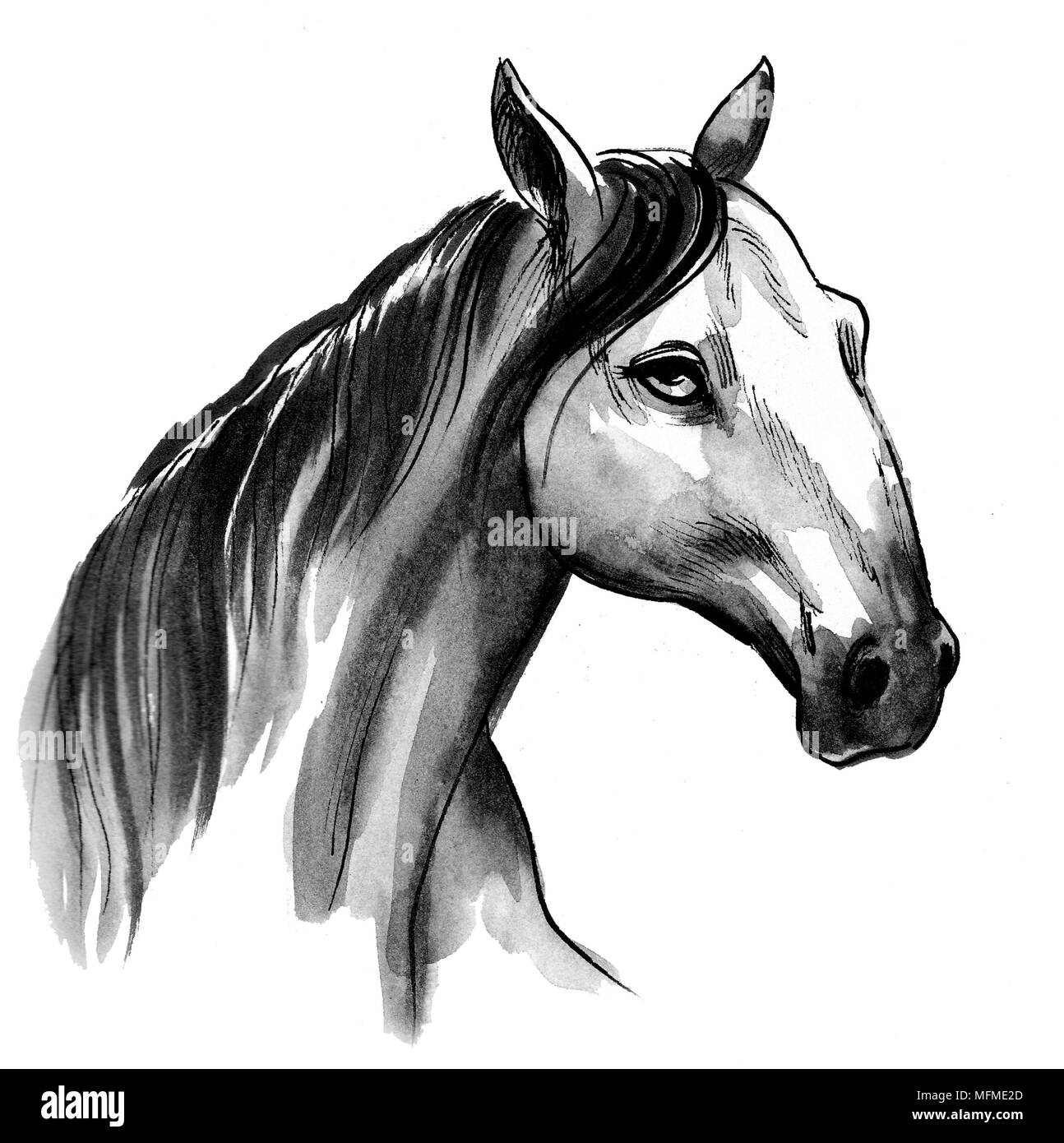 Black horse sketch Horse head mask Drawing Stallion horse horse white  png  PNGEgg