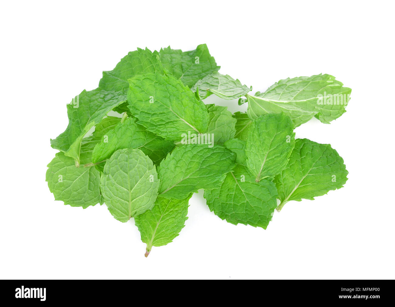 mint leaf on white background Stock Photo Alamy