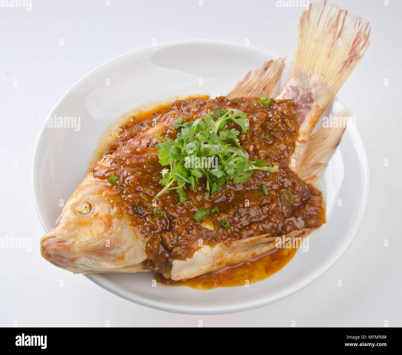 China rockfish hires stock photography and images Alamy