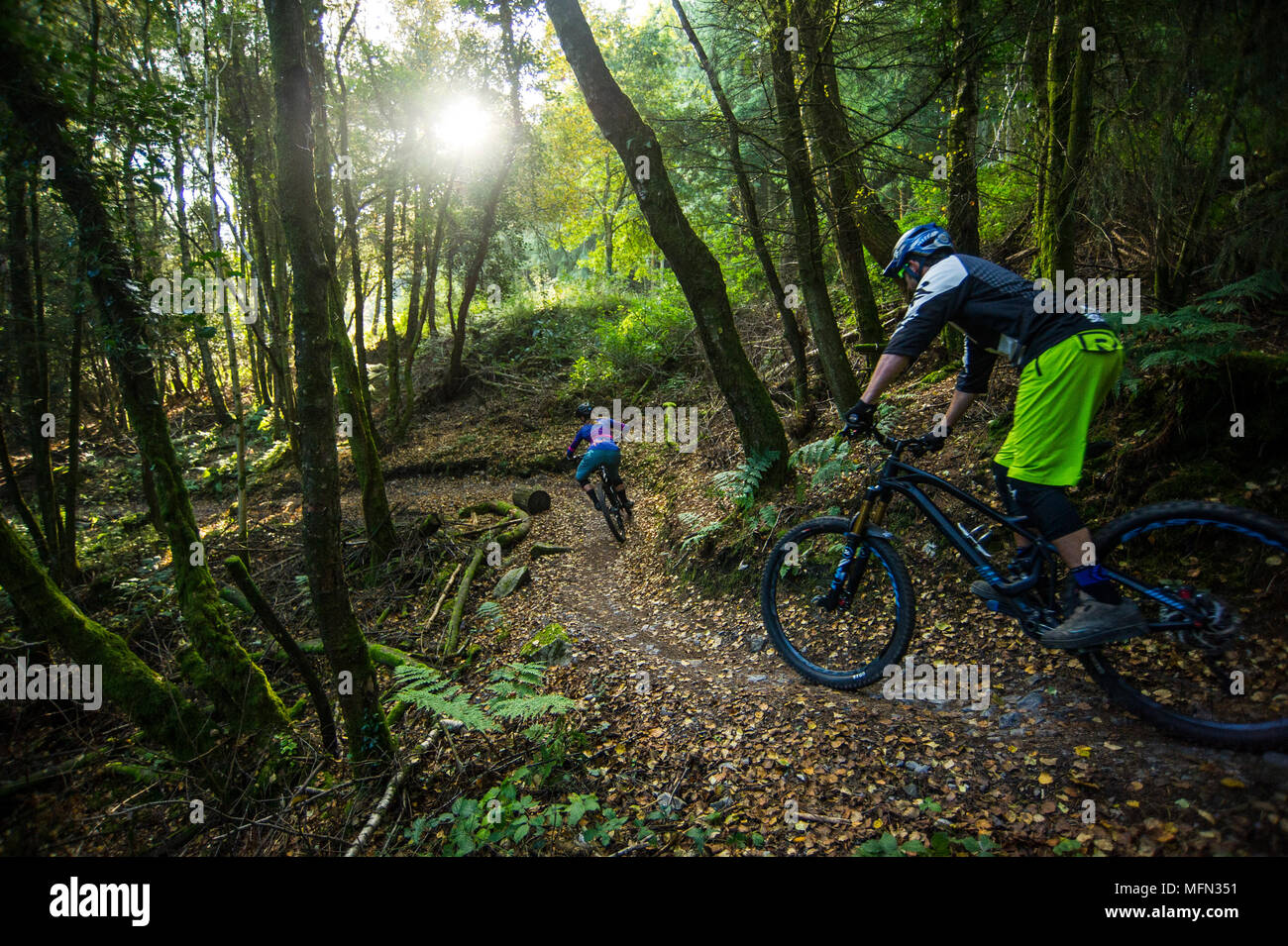 haldon mountain biking