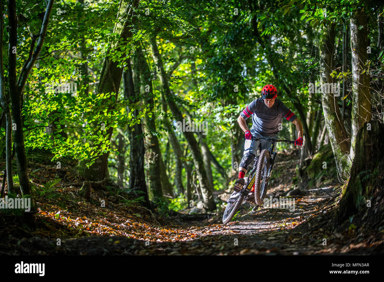 haldon mountain biking