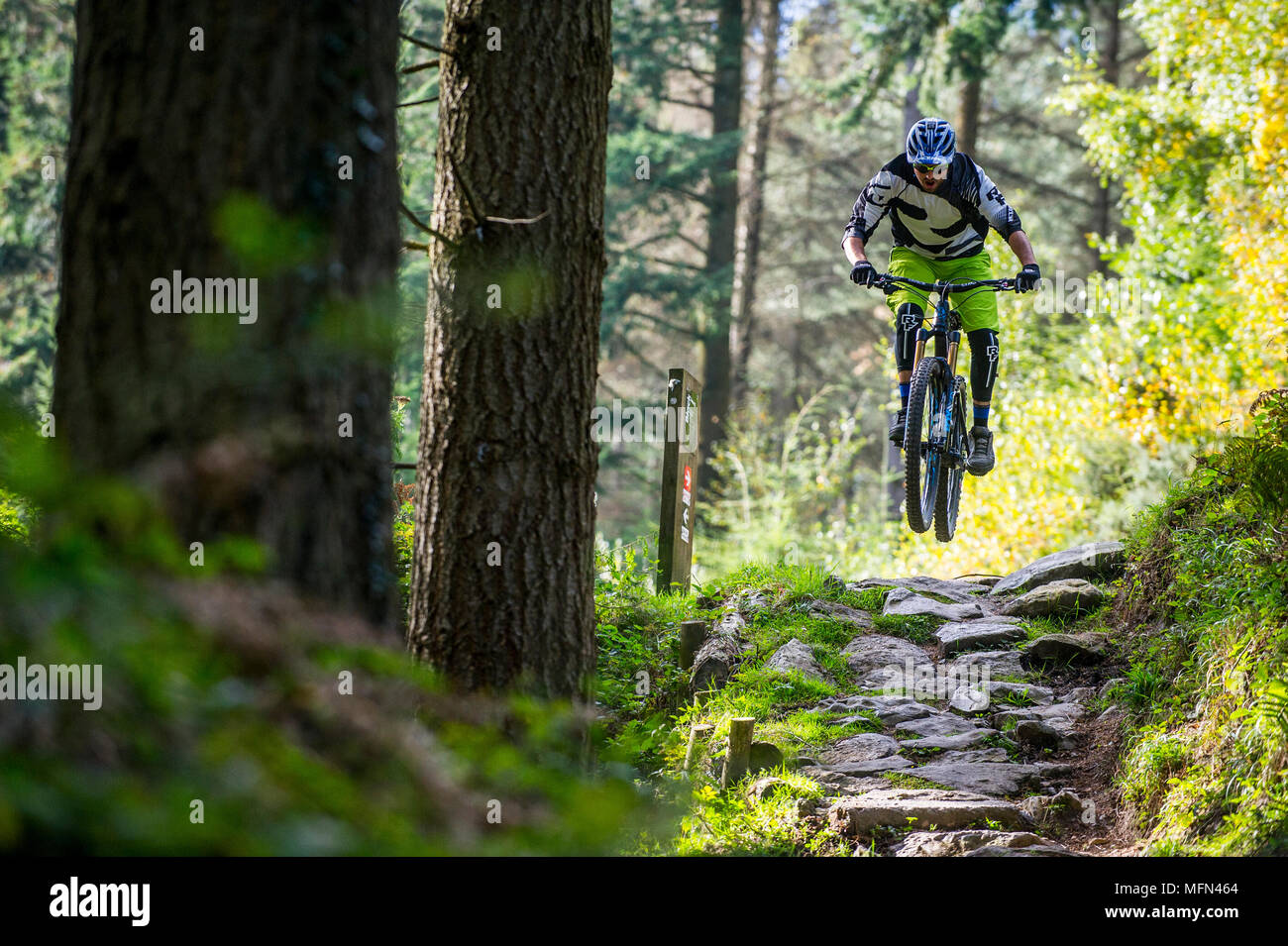 haldon forest mtb