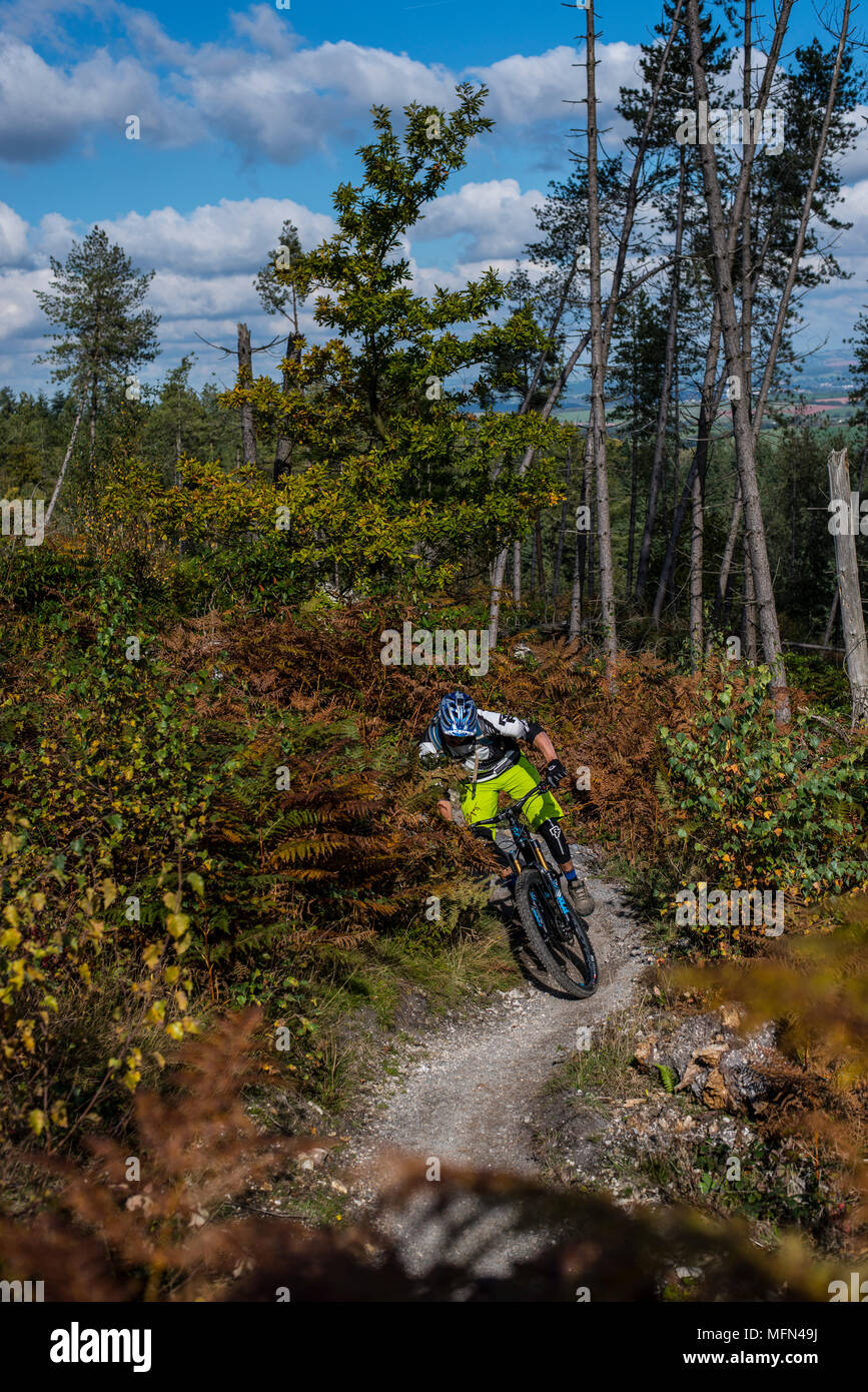 haldon forest bike trails