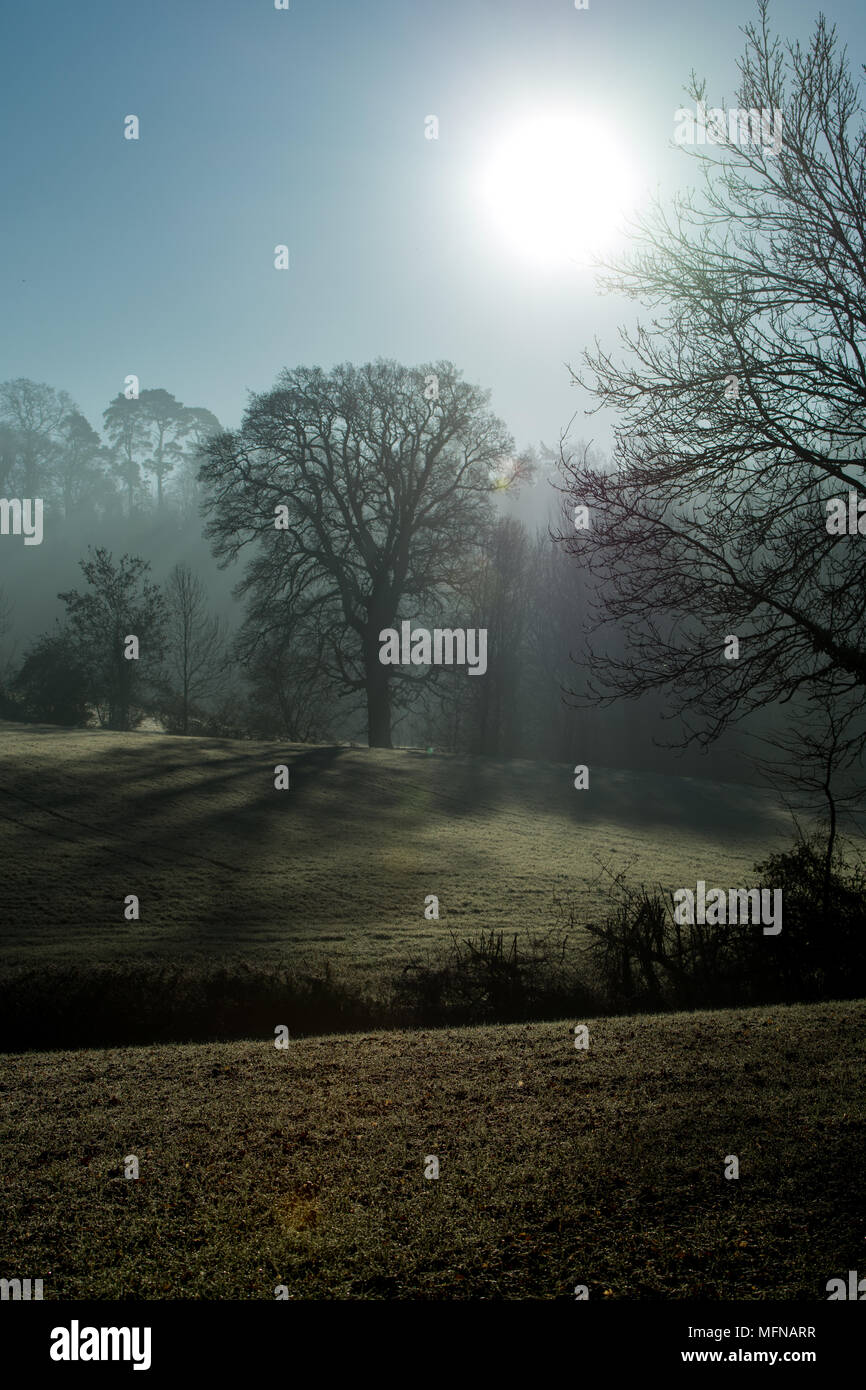 A perfect misty and frosty morning in the Cotswolds Stock Photo