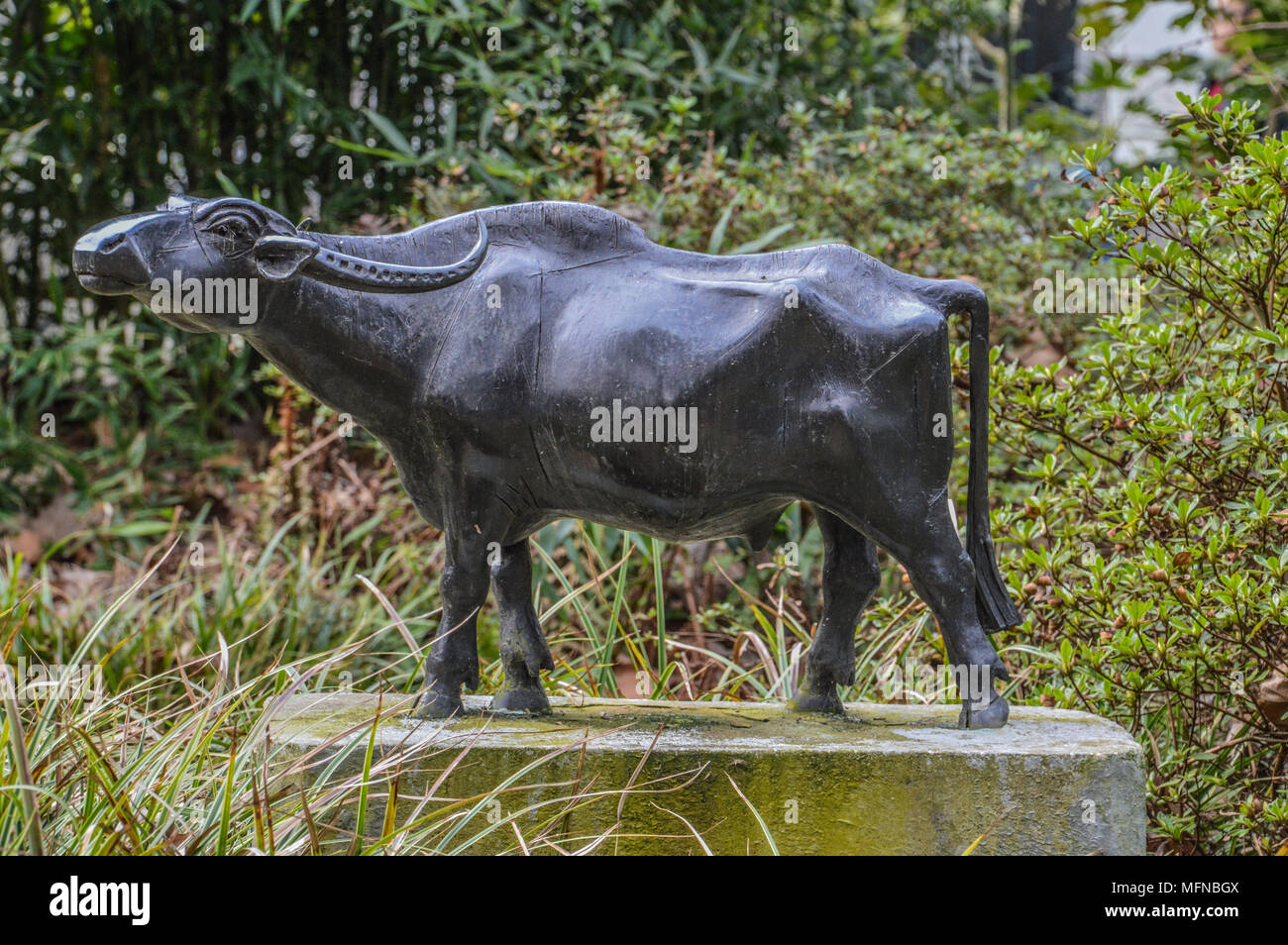 Water Buffalo Statue At Artis Zoo Amsterdam The Netherlands Stock Photo