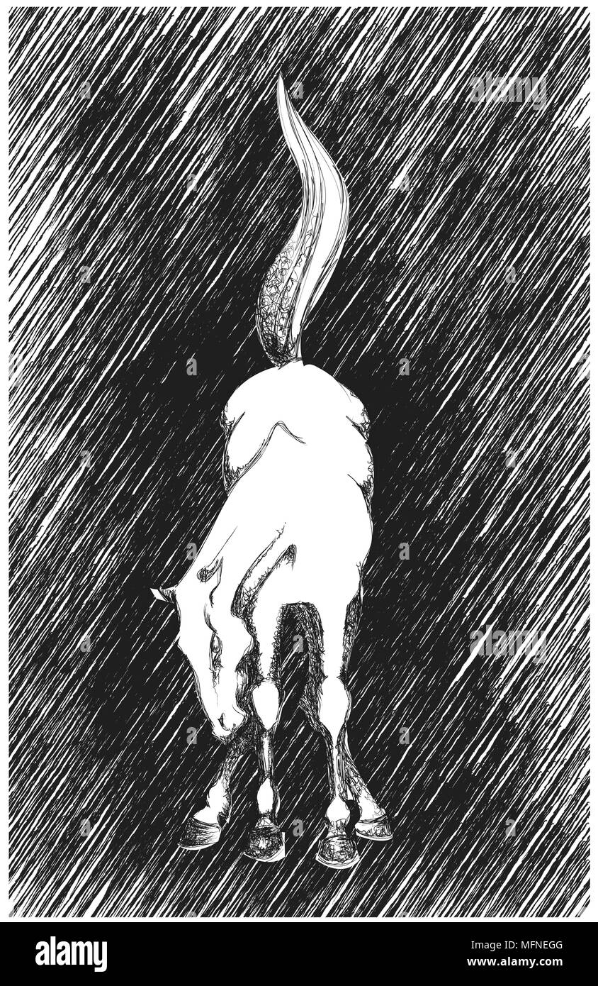 Black and White Illustration. Hand - Drawn Horse Stock Photo - Alamy
