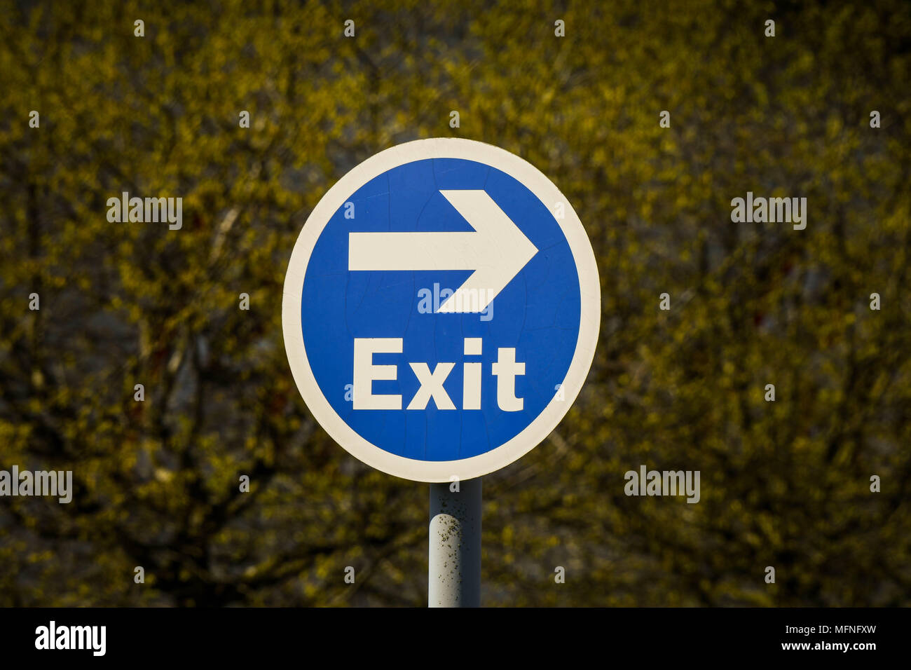 Close up view of a sign in a car park showimg the way out Stock Photo