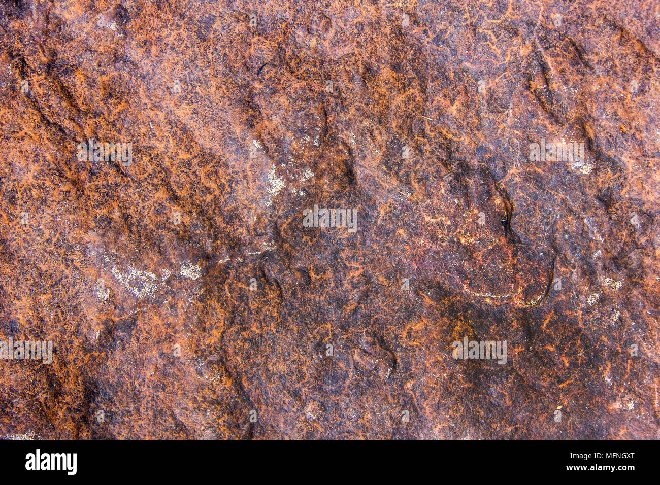 Close up yellow stone texture for background Stock Photo