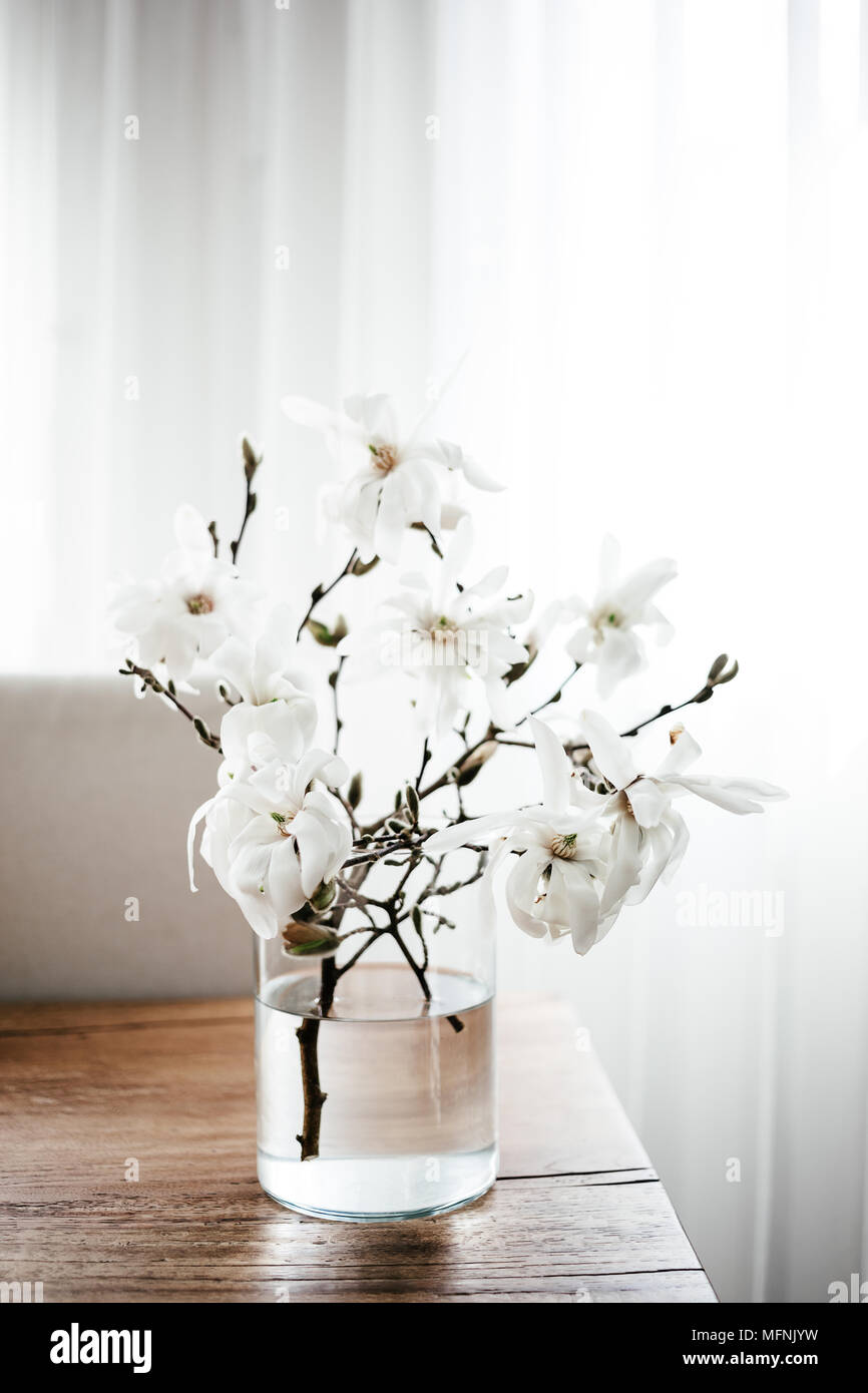 White Magnolia Twigs Freshly Cut From Magnolia Tree Glass Vase Standing On Wooden Table With White Magnolia Flowers First Spring Blossom Nature Awa Stock Photo Alamy