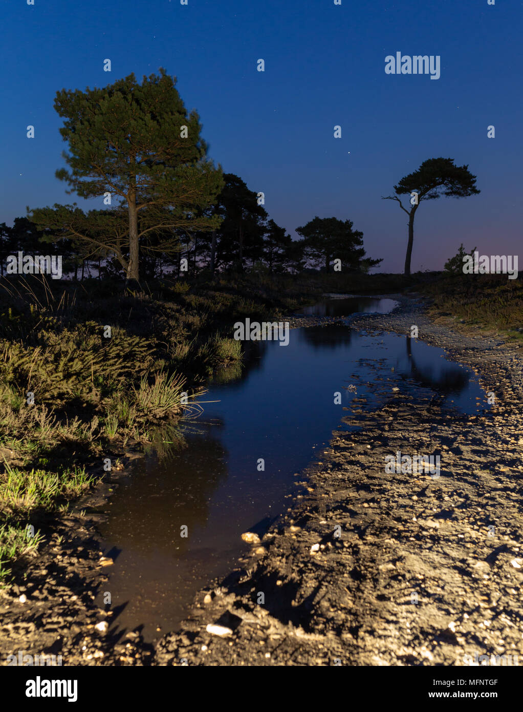 Canford heath poole hires stock photography and images Alamy