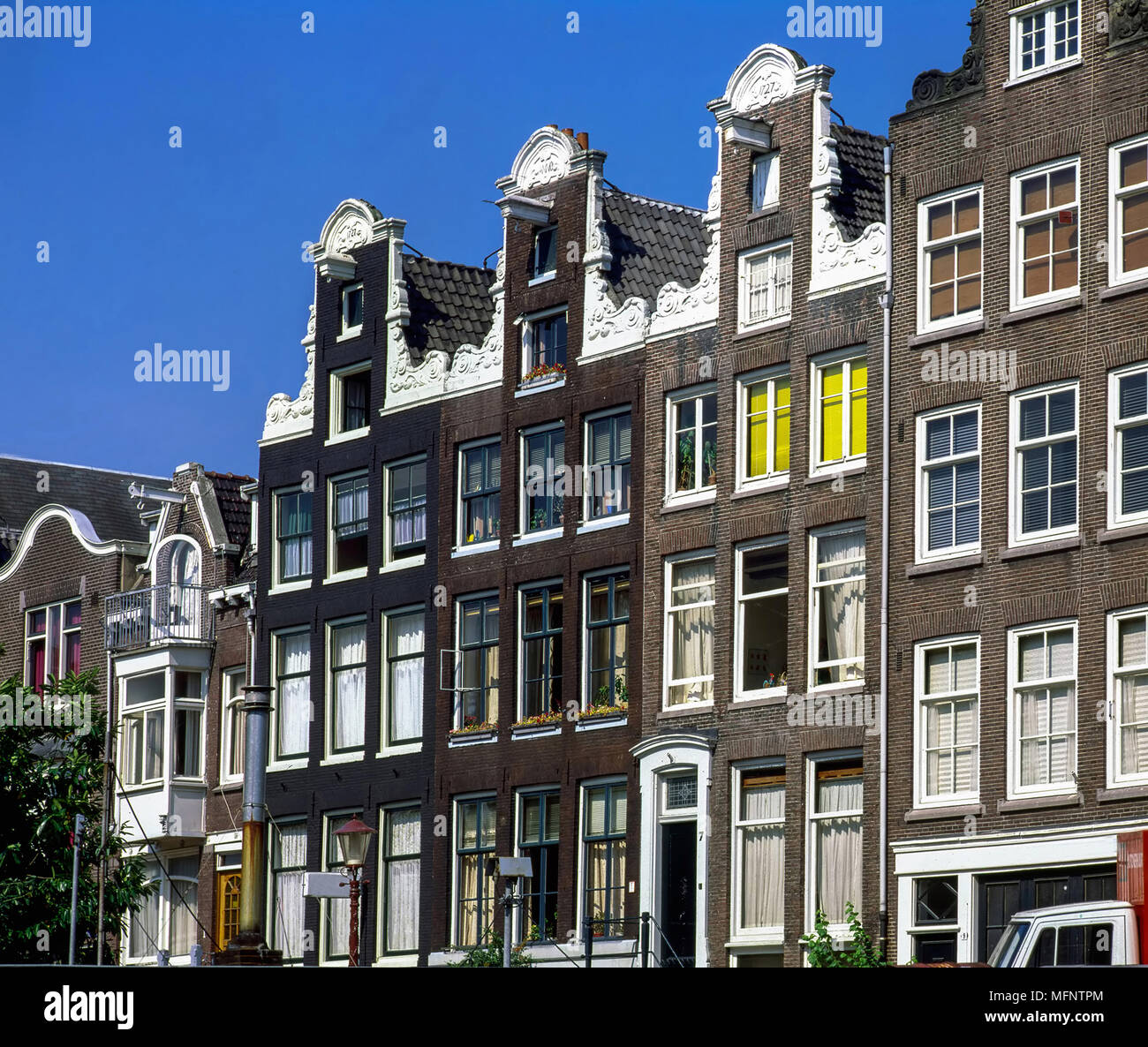 Street with trees  in Amsterdam, Netherlands Stock Photo