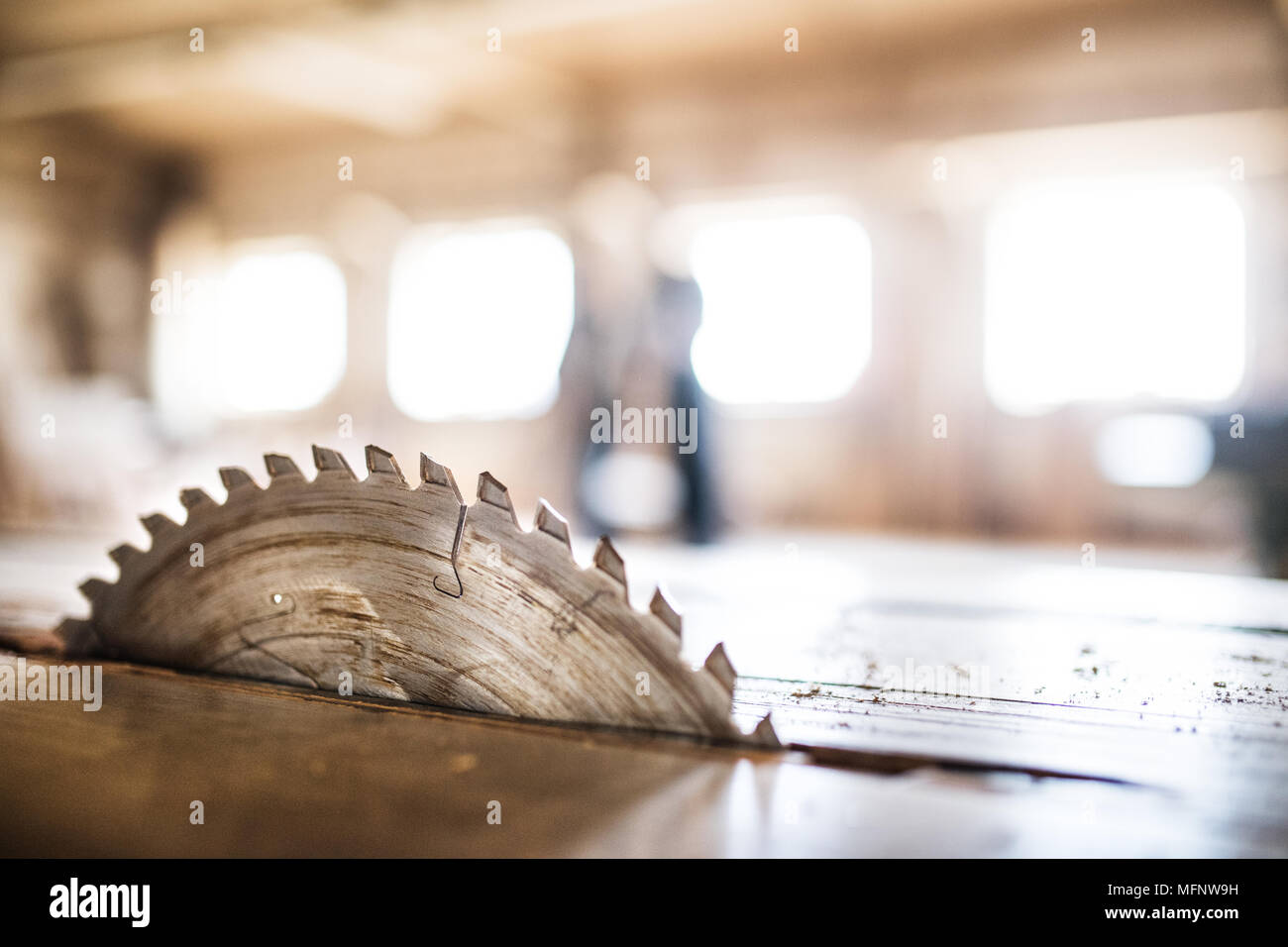 A circular saw blade in carpentry Stock Photo Alamy