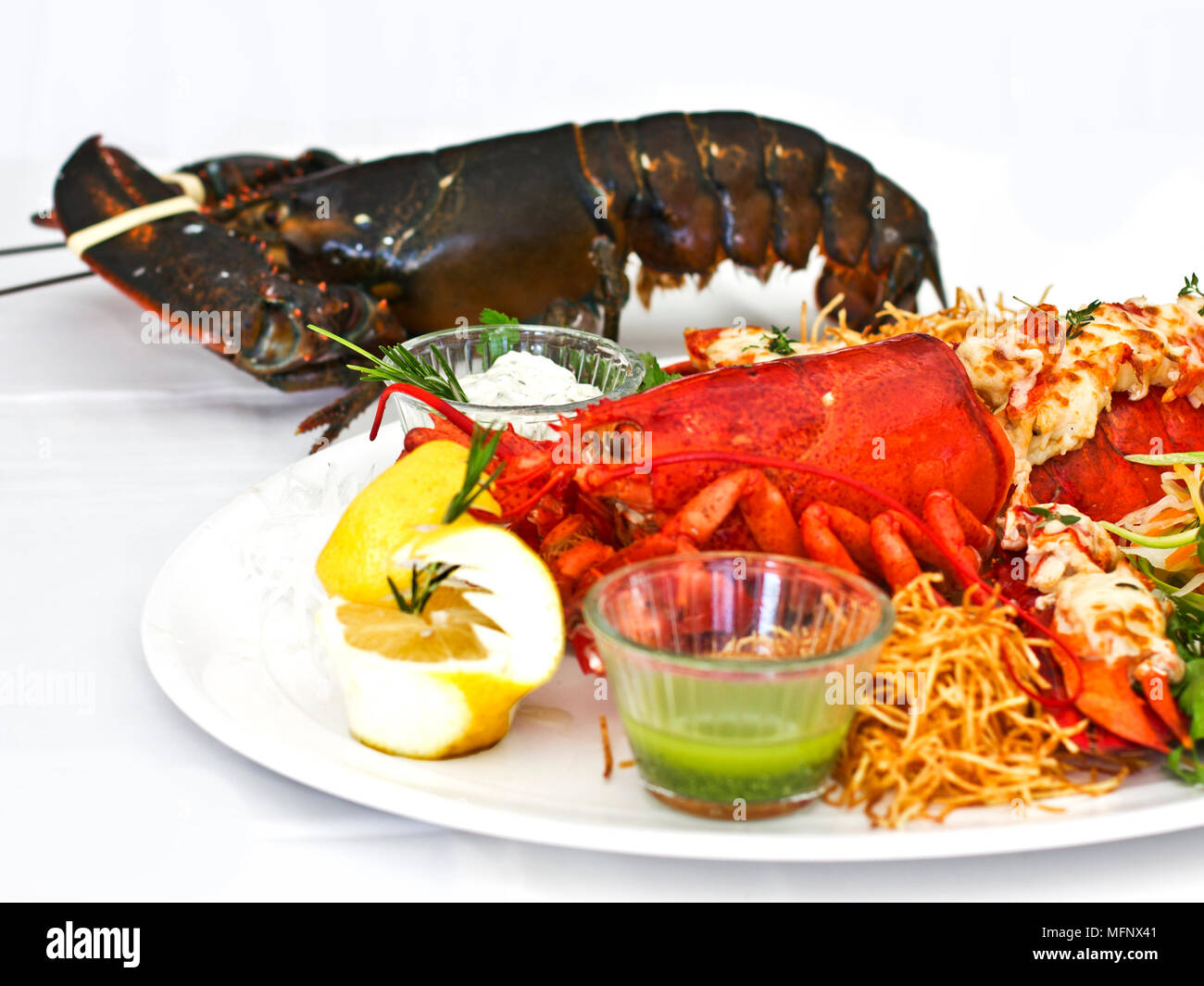 Live and cooked lobster served with the vegetables on a white plate. Isolated Stock Photo