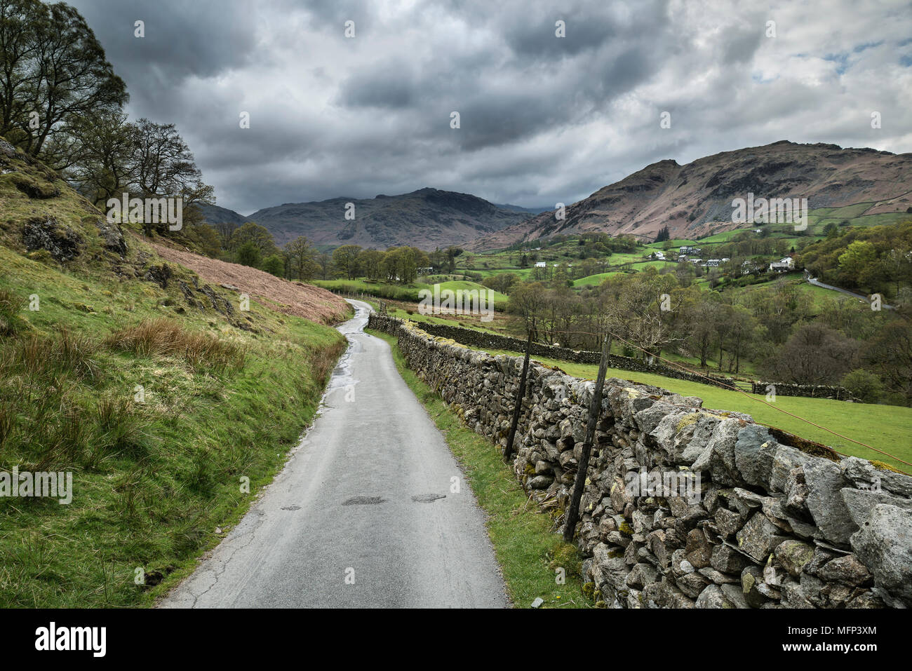 Footpath leading towards Elter Water landscape village in Lake District Stock Photo