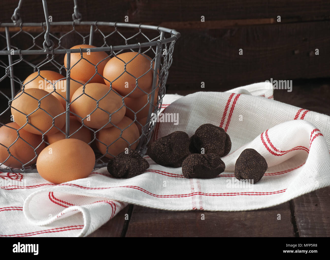 Chicken Eggs with Perigord Truffle, tuber melanosporum Stock Photo