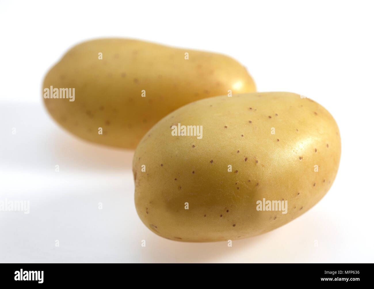 Mona Lisa Potato, Solanum tuberosum, Vegetables against White Background Stock Photo