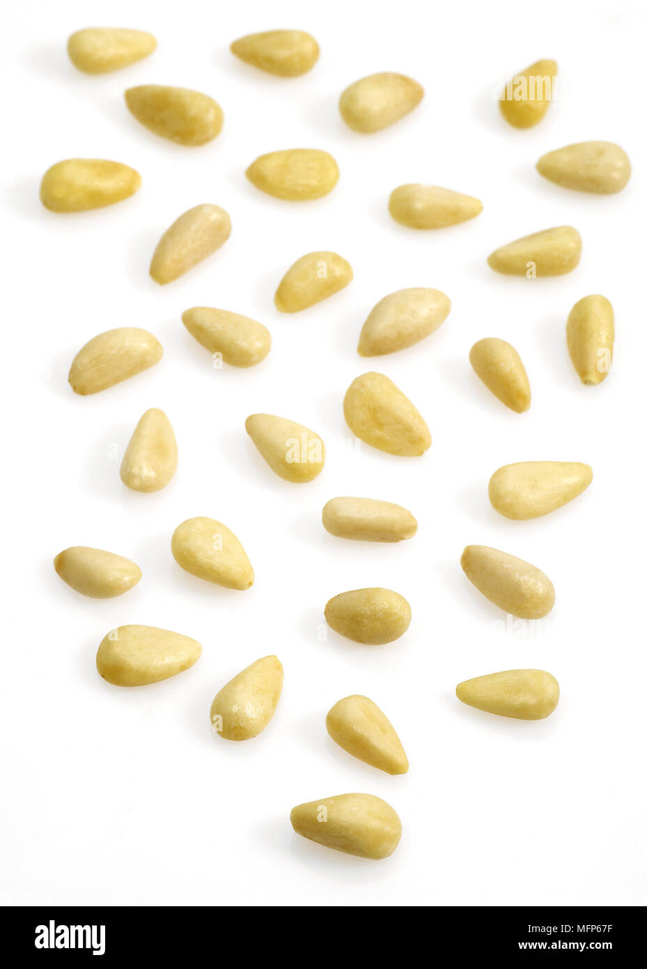 Pine Kernel or Pine Nut, pinus sp, Nuts against White Background Stock Photo