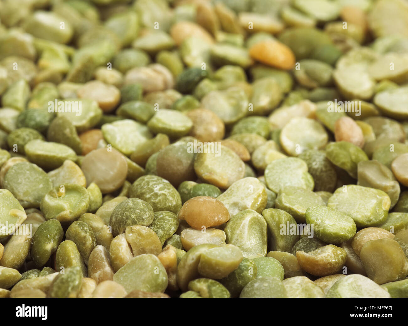 Split Peas, pisum sativum, Seeds Stock Photo
