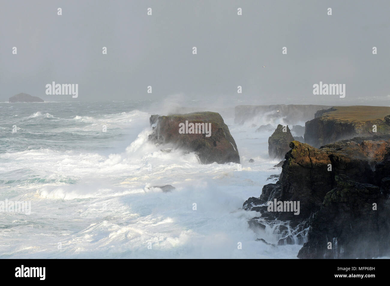 Bid waves at Eshaness cliffs in the Shetland Isle during a big Atlantic storm Stock Photo