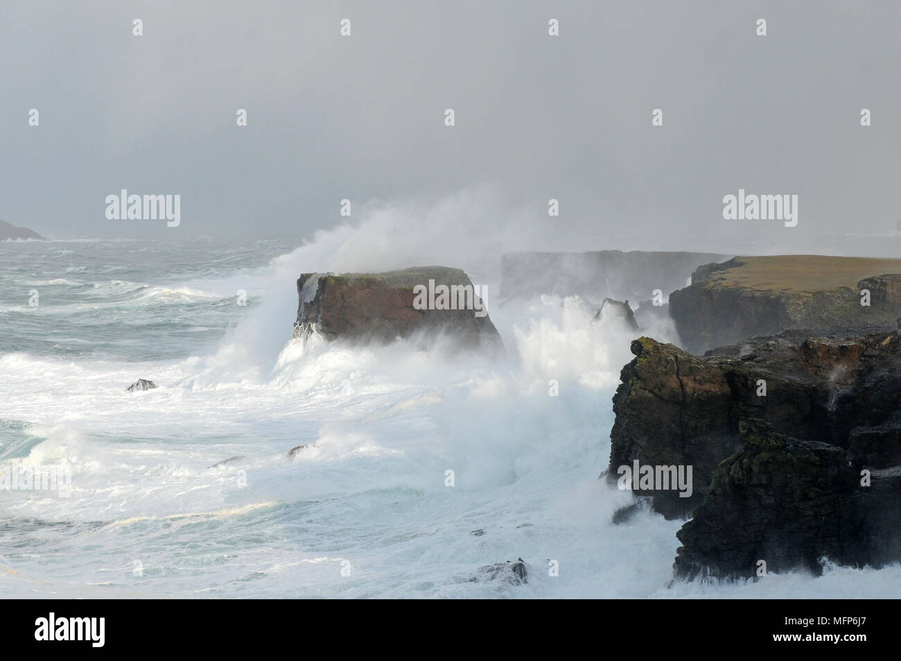 Bid waves at Eshaness cliffs in the Shetland Isle during a big Atlantic storm Stock Photo