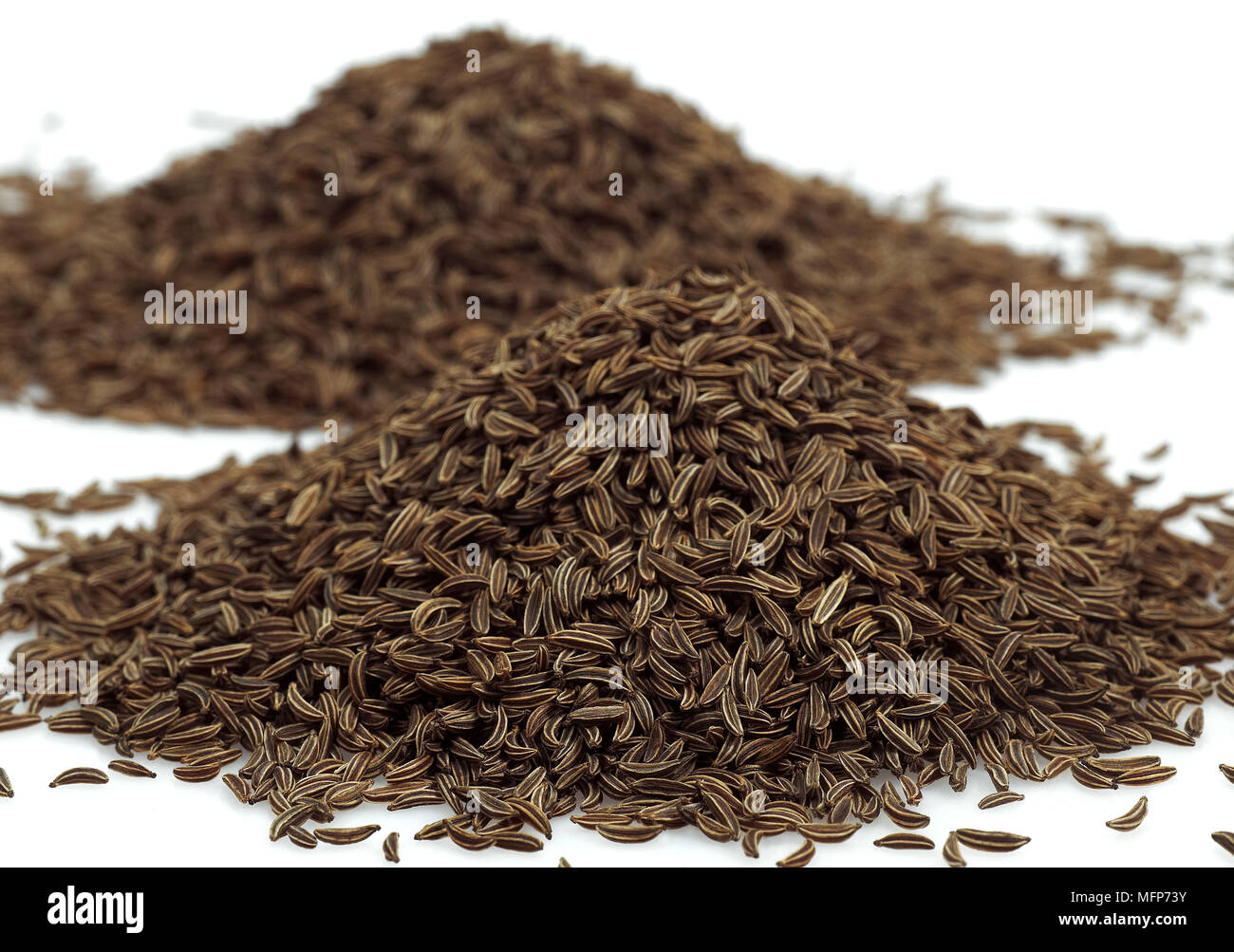 Caraway, carum carvi, Seeds against White Background Stock Photo